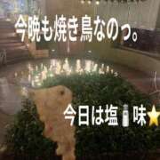 ヒメ日記 2026/02/07 21:14 投稿 響子（きょうこ） ビッグバード