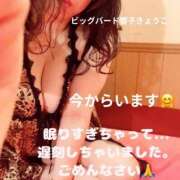 ヒメ日記 2026/02/10 08:54 投稿 響子（きょうこ） ビッグバード