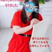 ヒメ日記 2026/02/11 17:04 投稿 響子（きょうこ） ビッグバード