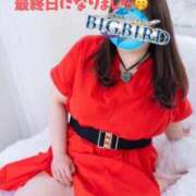 ヒメ日記 2026/02/11 20:33 投稿 響子（きょうこ） ビッグバード