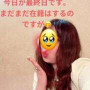 ヒメ日記 2026/02/12 06:24 投稿 響子（きょうこ） ビッグバード