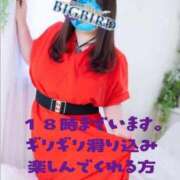 ヒメ日記 2026/02/12 14:34 投稿 響子（きょうこ） ビッグバード