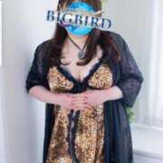 ヒメ日記 2026/02/13 08:03 投稿 響子（きょうこ） ビッグバード