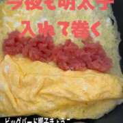 ヒメ日記 2026/02/19 20:54 投稿 響子（きょうこ） ビッグバード