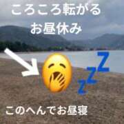 ヒメ日記 2026/02/20 12:46 投稿 響子（きょうこ） ビッグバード