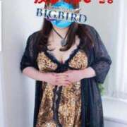 ヒメ日記 2026/02/21 06:24 投稿 響子（きょうこ） ビッグバード