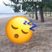 ヒメ日記 2026/02/21 15:24 投稿 響子（きょうこ） ビッグバード