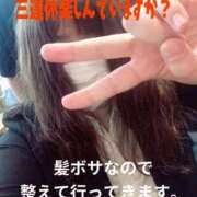 ヒメ日記 2026/02/23 08:36 投稿 響子（きょうこ） ビッグバード