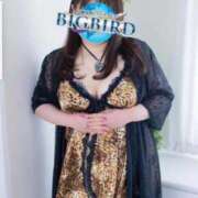 ヒメ日記 2026/02/27 18:14 投稿 響子（きょうこ） ビッグバード