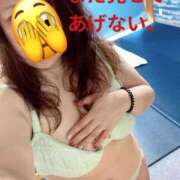 響子（きょうこ） 平和な日曜日 ビッグバード