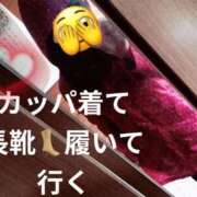 ヒメ日記 2026/03/03 08:04 投稿 響子（きょうこ） ビッグバード