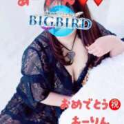 ヒメ日記 2026/03/05 20:54 投稿 響子（きょうこ） ビッグバード