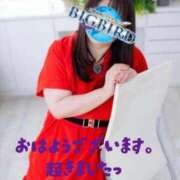 ヒメ日記 2026/03/07 06:14 投稿 響子（きょうこ） ビッグバード