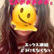 ヒメ日記 2026/03/12 10:05 投稿 響子（きょうこ） ビッグバード