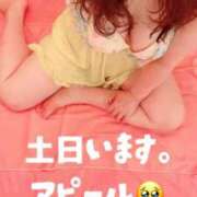 ヒメ日記 2026/03/14 11:04 投稿 響子（きょうこ） ビッグバード
