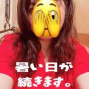 響子（きょうこ） 暑い1週間 ビッグバード