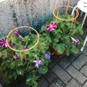 ヒメ日記 2025/07/07 09:00 投稿 小栗彩矢 ローテンブルク