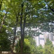 ヒメ日記 2025/07/20 06:19 投稿 小栗彩矢 ローテンブルク