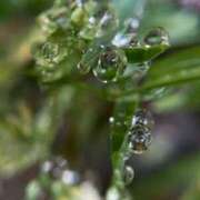 ヒメ日記 2025/09/01 07:04 投稿 小栗彩矢 ローテンブルク