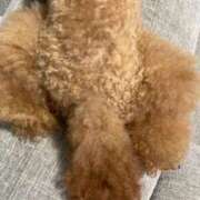 ヒメ日記 2025/09/25 11:05 投稿 小栗彩矢 ローテンブルク