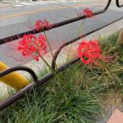 ヒメ日記 2025/09/28 23:51 投稿 小栗彩矢 ローテンブルク