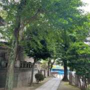 ヒメ日記 2025/10/08 07:08 投稿 小栗彩矢 ローテンブルク