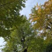 ヒメ日記 2025/11/01 11:47 投稿 小栗彩矢 ローテンブルク