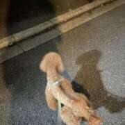 ヒメ日記 2025/11/24 23:41 投稿 小栗彩矢 ローテンブルク