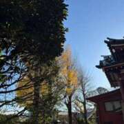 ヒメ日記 2026/01/09 17:22 投稿 小栗彩矢 ローテンブルク