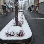 ヒメ日記 2026/02/08 12:08 投稿 小栗彩矢 ローテンブルク