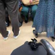 ヒメ日記 2026/02/16 21:00 投稿 小栗彩矢 ローテンブルク