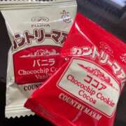 ヒメ日記 2026/02/17 15:41 投稿 小栗彩矢 ローテンブルク