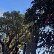 ヒメ日記 2026/02/23 23:33 投稿 小栗彩矢 ローテンブルク