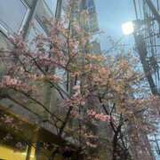 ヒメ日記 2026/02/24 06:40 投稿 小栗彩矢 ローテンブルク