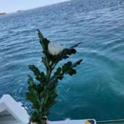 ヒメ日記 2026/03/11 23:56 投稿 小栗彩矢 ローテンブルク