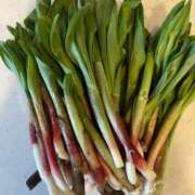 ヒメ日記 2026/04/10 18:03 投稿 小栗彩矢 ローテンブルク