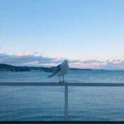 ヒメ日記 2026/04/13 06:51 投稿 小栗彩矢 ローテンブルク