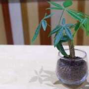 ヒメ日記 2026/04/15 01:00 投稿 れいか 京都ホテヘル倶楽部