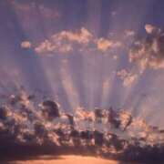 やよい よろしくお願いします モアグループ宇都宮人妻花壇