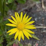 小川綾香 可愛い～☺ 五十路マダム 博多店