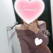 ヒメ日記 2025/10/27 11:42 投稿 知南(ちなみ) PLUS梅田店