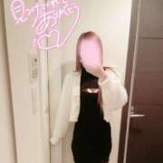 知南(ちなみ) お礼💌12/12 PLUS梅田店