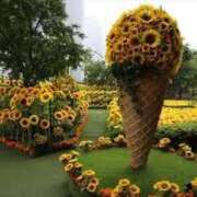 ヒメ日記 2025/07/02 06:51 投稿 モニカ 多恋人倶楽部（山口）