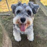 ヒメ日記 2025/05/28 13:28 投稿 みに 風俗の神様　浜松店