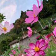 ヒメ日記 2025/06/13 16:19 投稿 桃谷 なこ しゃせきょっ!XX教育される制服女子たち