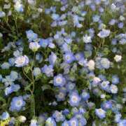 ヒメ日記 2025/06/14 23:39 投稿 桃谷 なこ しゃせきょっ!XX教育される制服女子たち