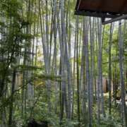 ヒメ日記 2025/12/31 20:49 投稿 桃谷 なこ しゃせきょっ!XX教育される制服女子たち