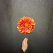 ヒメ日記 2026/02/23 00:09 投稿 桃谷 なこ しゃせきょっ!XX教育される制服女子たち