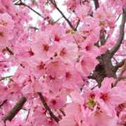 桃谷 なこ ✨️ しゃせきょっ!XX教育される制服女子たち