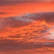 ヒメ日記 2025/06/24 09:27 投稿 西条　響 タッチVIP